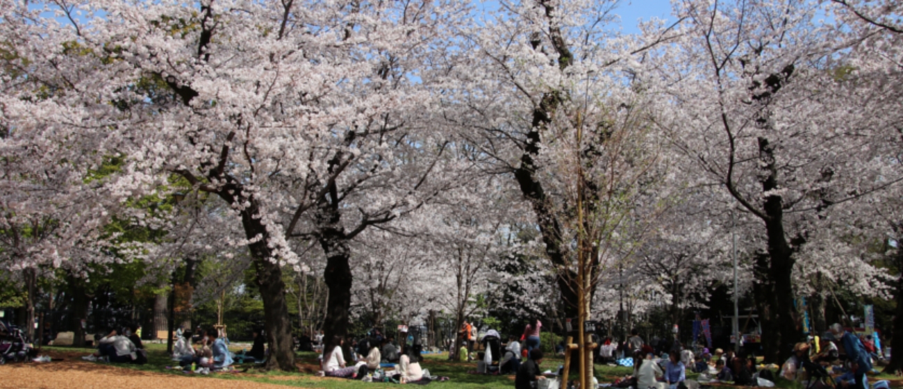 飛鳥山公園は、東京都北区王子にある北区の区立公園です。