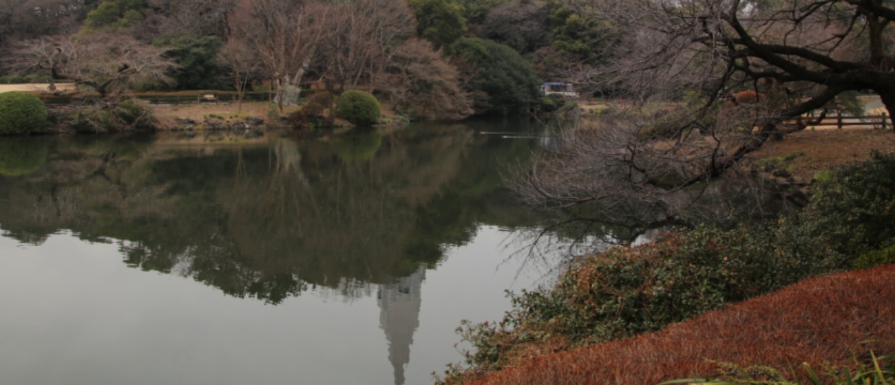 新宿御苑は、東京都新宿区にある都立公園で営団地下鉄新宿御苑前駅から徒歩３分です。