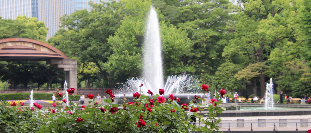 日比谷公園は東京の千代田区にある都立公園で周囲には官庁街・帝国ホテルなどがあり地下鉄利用が便利です。