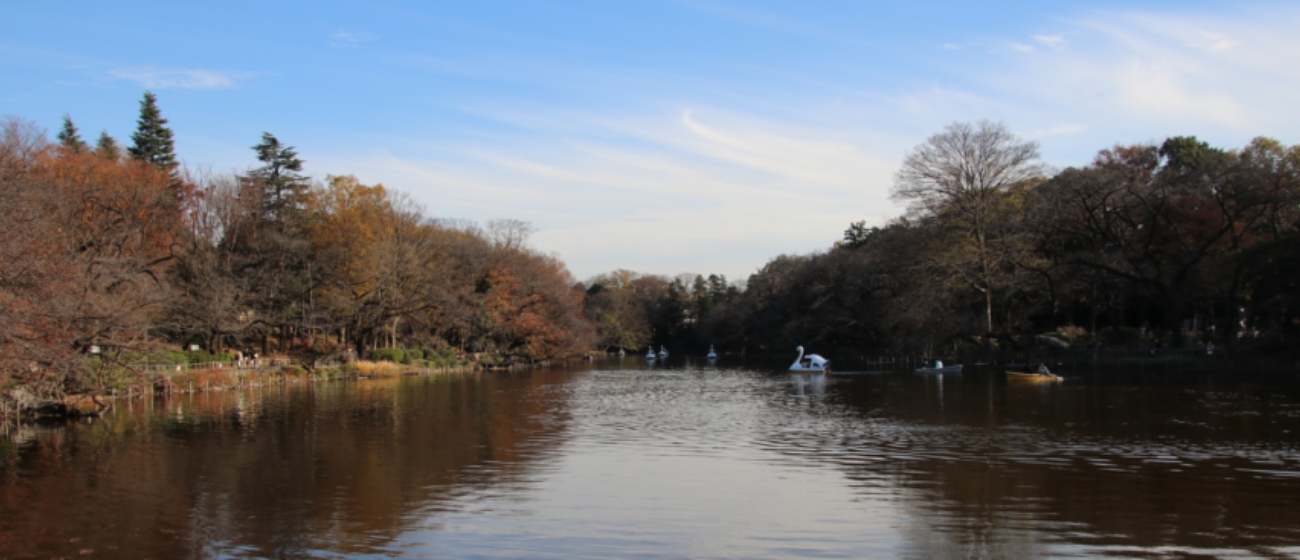 井の頭公園は、東京都武蔵野市と三鷹市にまたがる都立公園です。吉祥寺駅から徒歩約５分です。