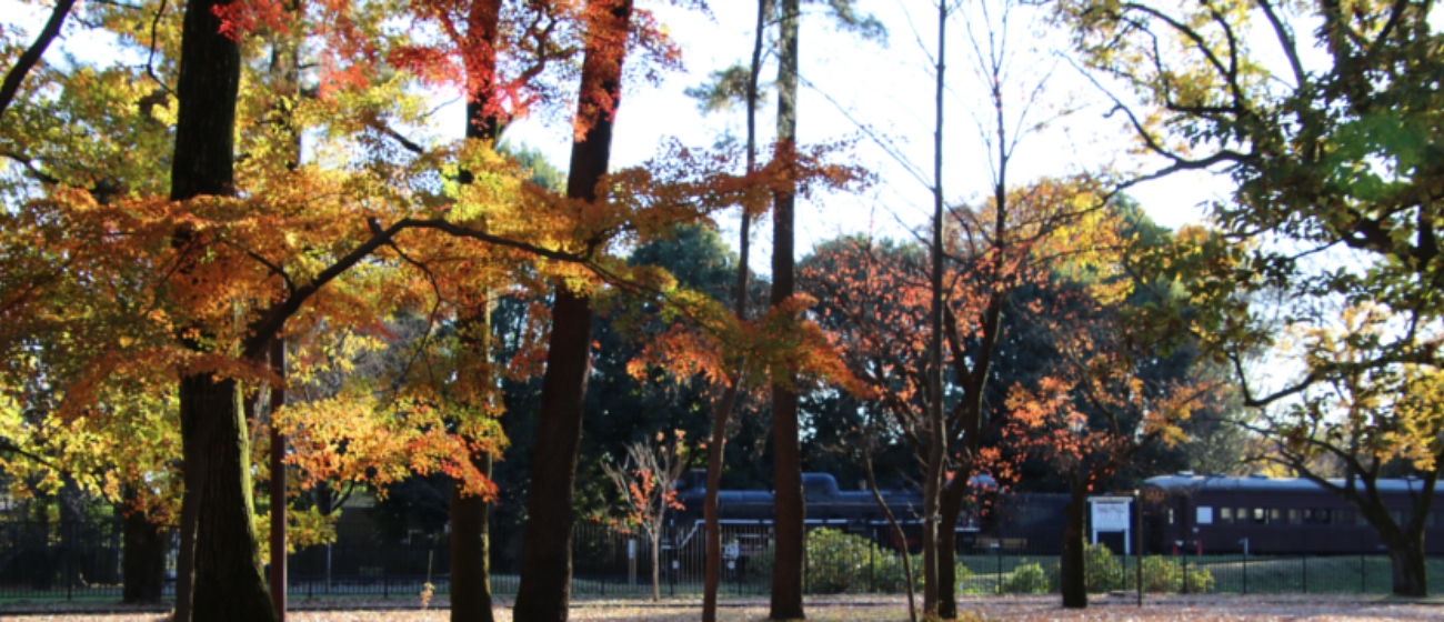 小金井公園は、東京都小金井市と一部が小平市・西東京市・武蔵野市にまたがる都立公園です。JR東小金井駅又は武蔵小金井利用が便利です。