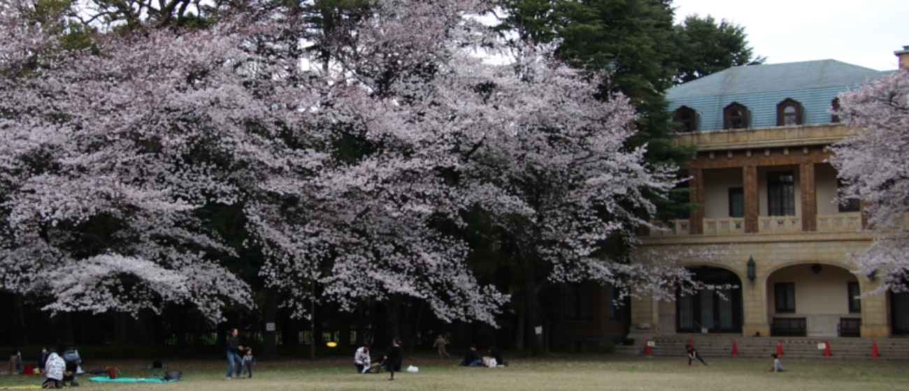 駒場公園は、旧前田家の邸宅跡地に作られた目黒区の区立公園です。