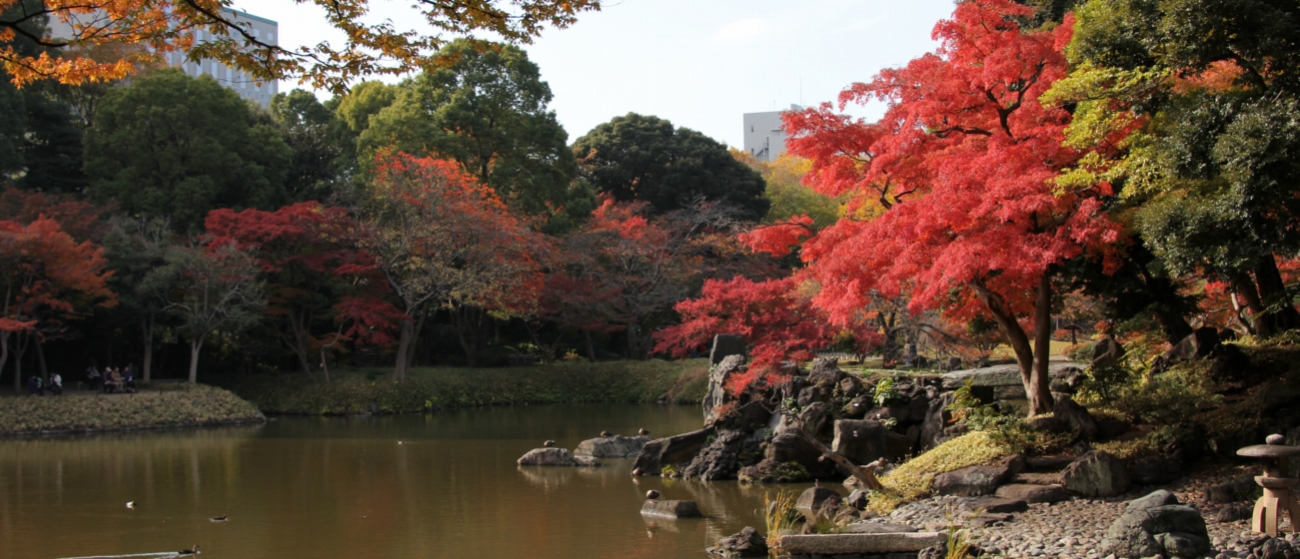 小石川後楽園は東京の文京区にある都立庭園でＪＲ飯田橋駅から徒歩８分です