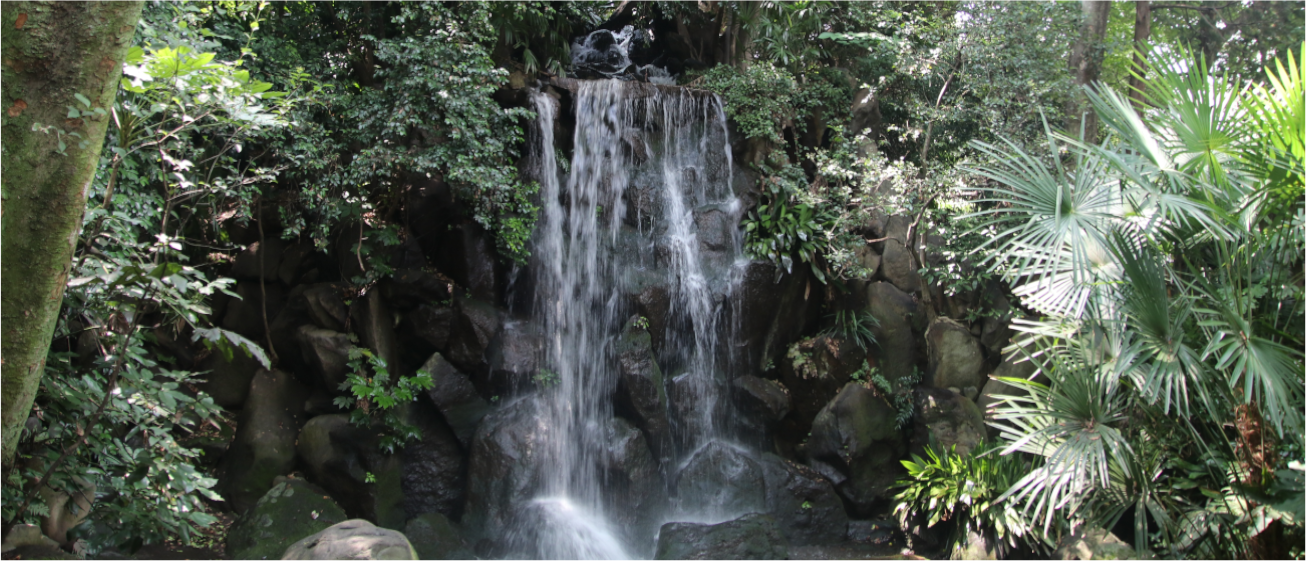 名主の滝公園は、北区の区立公園です。王子駅から徒歩１０分です。