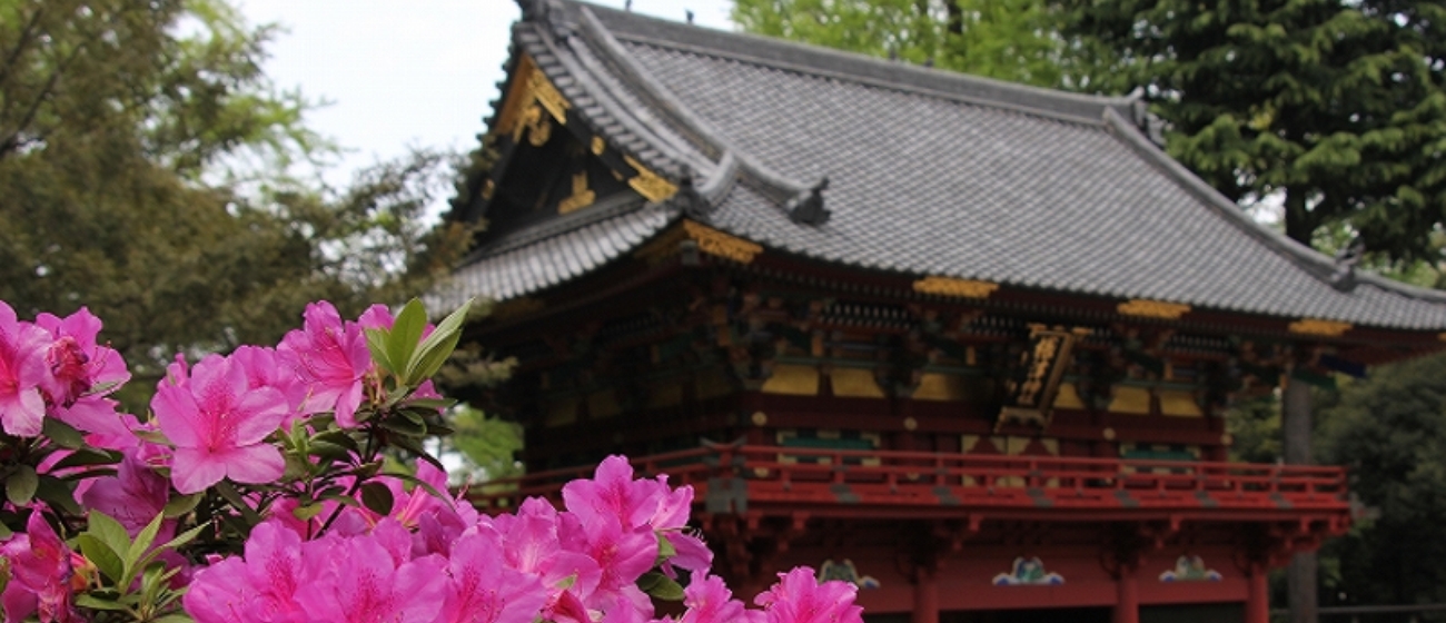 根津神社は、東京都文京区根津にある神社で境内はつつじの名所です。