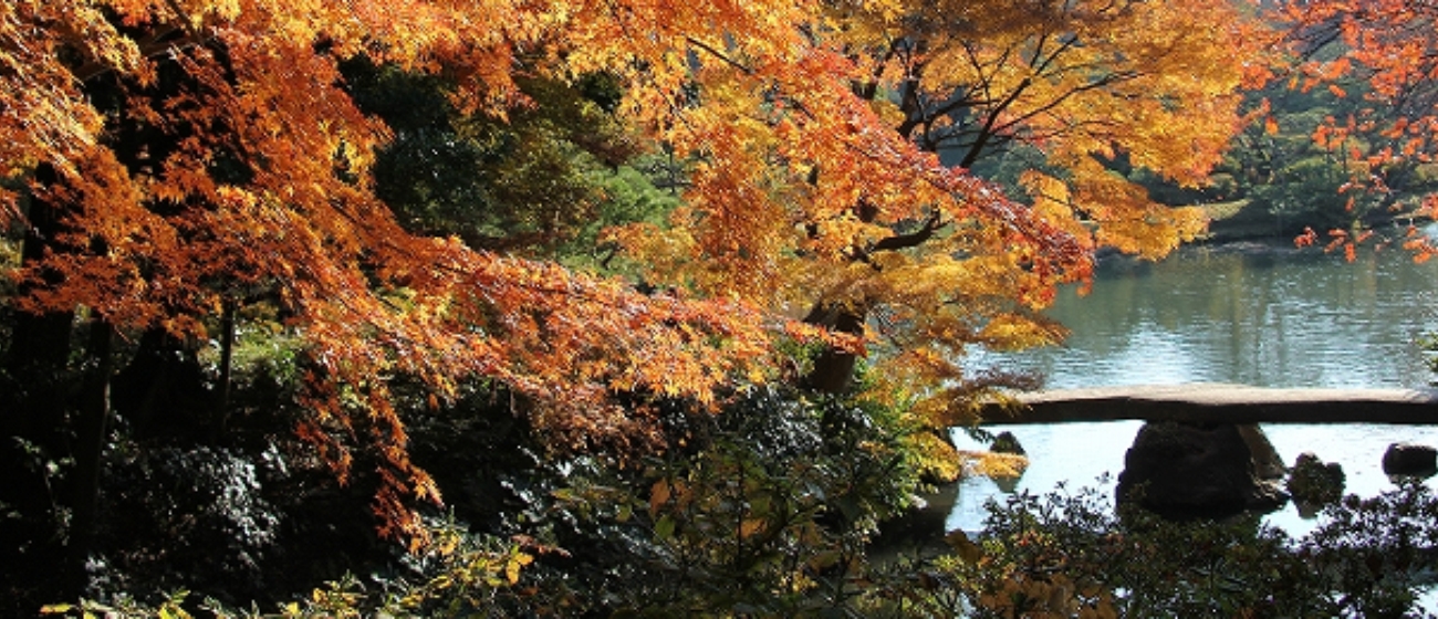 六義園は文京区にある都立公園で駒込駅下車徒歩7分です。