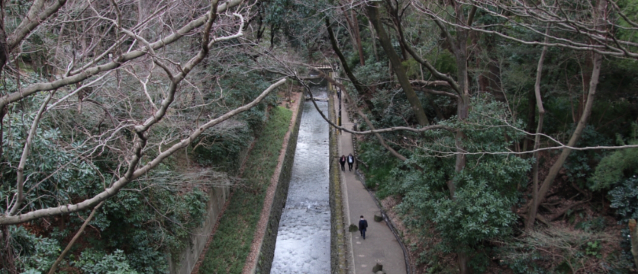 等々力渓谷公園は、東京都世田谷区にある都立公園で、東急線等々力駅から徒歩３分です。