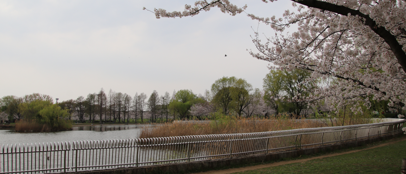 舎人公園は、日暮里・舎人ライナー利用が便利です。