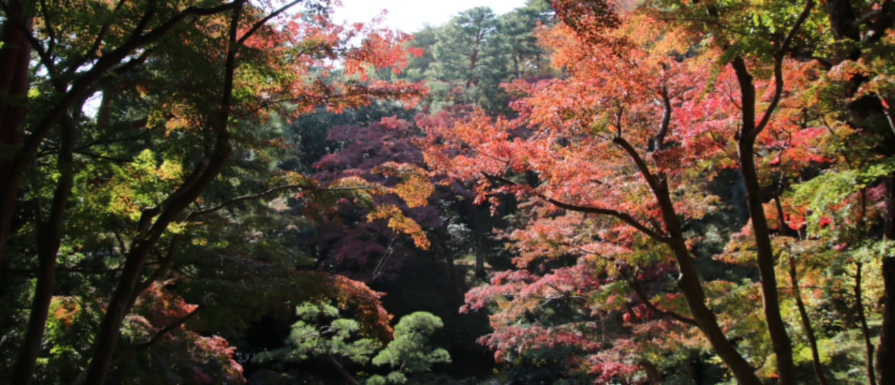 殿ヶ谷戸庭園は、東京都国分寺市にある都立公園です。国分寺駅から徒歩約2分です。