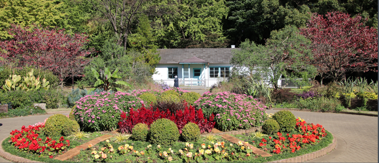代々木公園は、JR山手線原宿駅徒歩３分です。