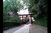 根津神社