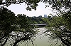 北の丸公園
