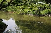 日比谷公園