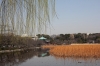 上野恩賜公園
