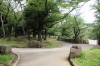 飛鳥山公園