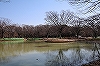 代々木公園