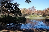 代々木公園
