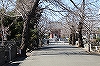 池上本門寺境内